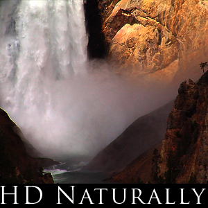 HD Naturally