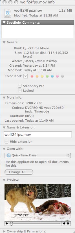 wolfinfo.jpeg